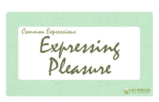 Useful Expressions-Expressing Pleasure
